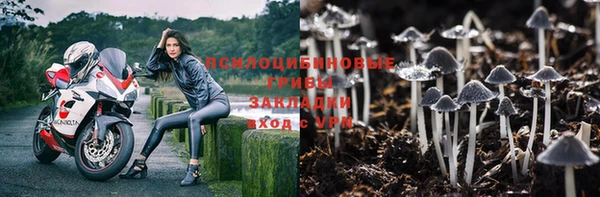 mdpv Майский