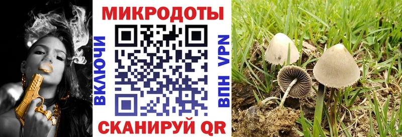 Псилоцибиновые грибы Psilocybe Хилок