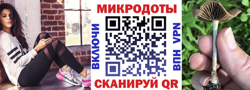 Купить закладки  Хилок  Галлюциногенные грибы Psilocybe 